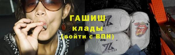 прущие грибы Алзамай