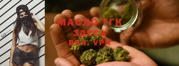 прущие грибы Алзамай