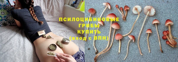 стаф Заволжск