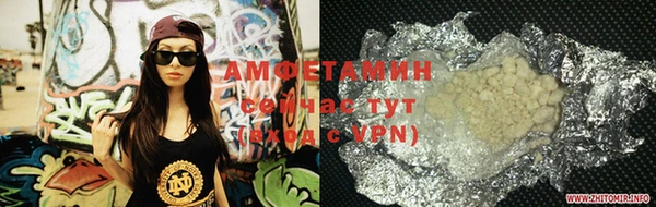 прущие грибы Алзамай
