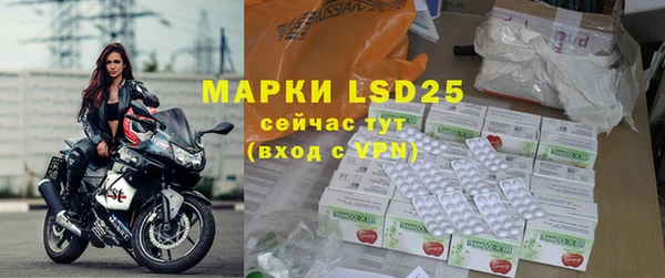 прущие грибы Алзамай