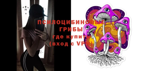 прущие грибы Алзамай